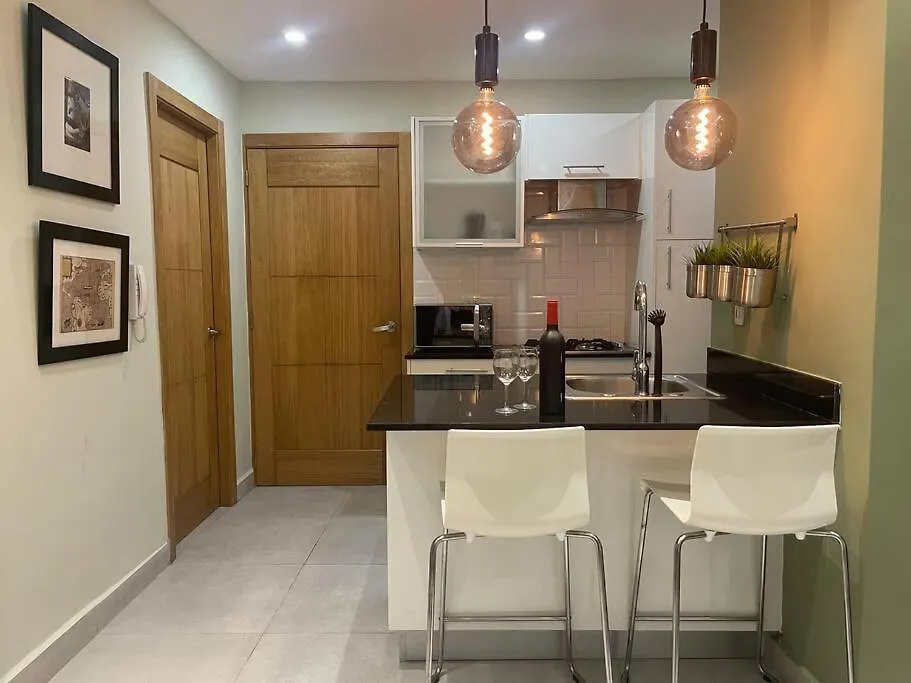 公寓 Apartmento En El Corazon De La Ciudad Con Piscina Infinita Y Vista Al Mar 聖多明哥